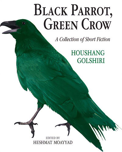 Black Parrot, Green Crow: A Collection of Short Fiction